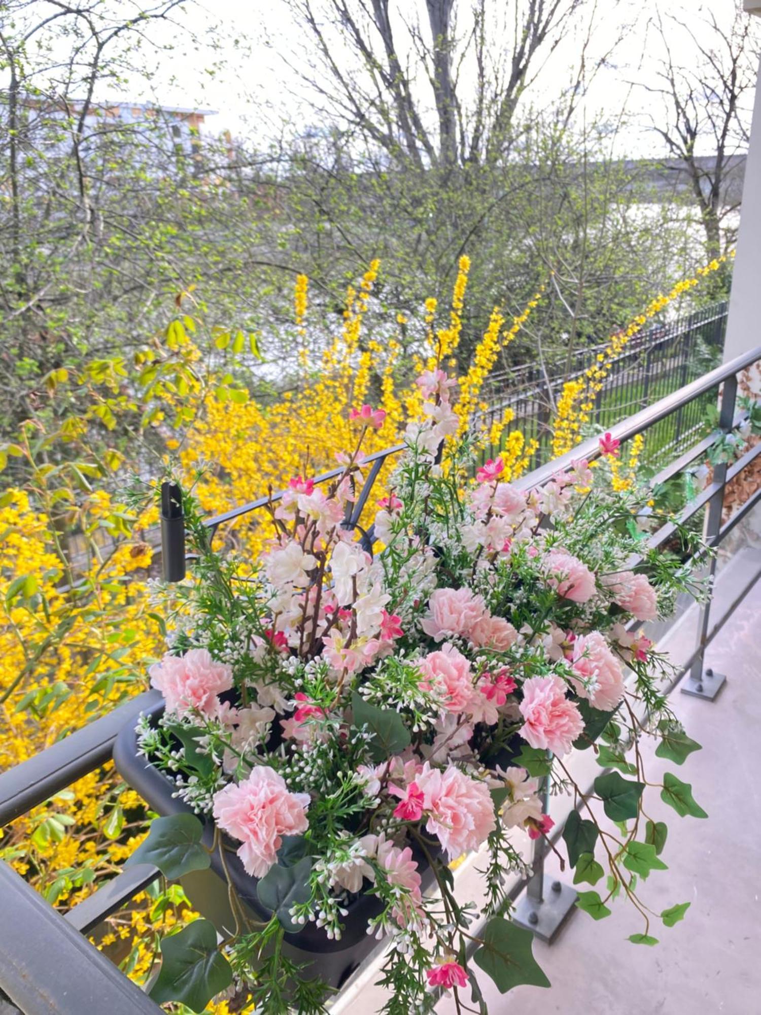 Cozy Riverfront Living, 5-Min Walk To Riverside Train Neuilly-Plaisance Eksteriør bilde